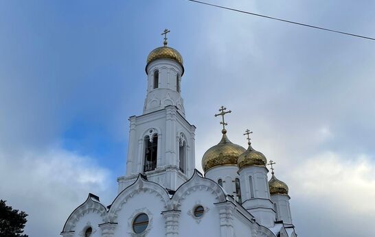 Схиархимандрит Илий (Ноздрин) совершил  Богослужение в храме Богоявления Господня, города Козельска.