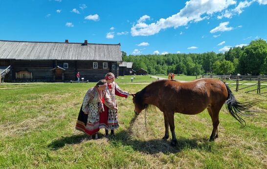 Архитектурно-этнографический музей Вологодской области