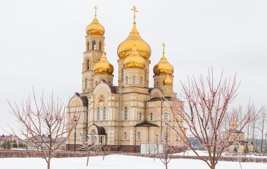Схиархимандрит Илий (Ноздрин) помолился в храме  Сретения Господня.