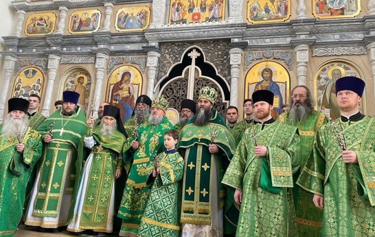 Схиархимандрит Илий (Ноздрин) принял участие в праздничном Богослужении в Вербное воскресенье.