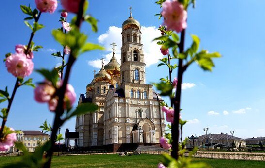 Никогда не были в 