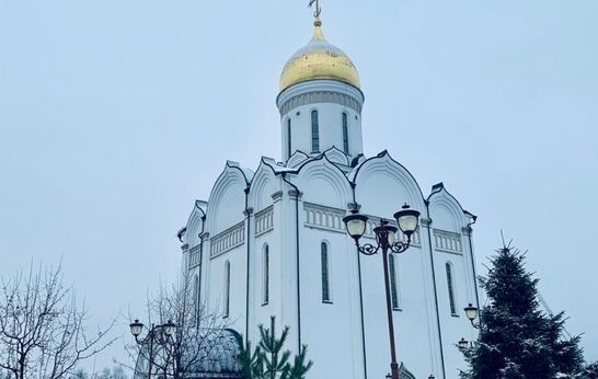 Схиархимандрит Илий (Ноздрин) посетил храм Спаса Нерукотворного в Усово, и побывал на Божественной Литургии.