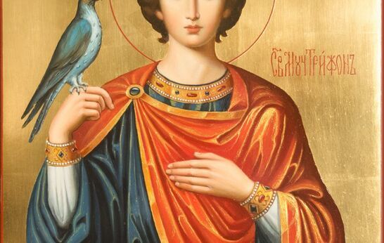 14 февраля  вспоминают о святом мученике Трифоне Апамейском. 