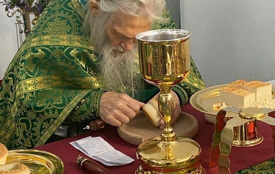 В праздник Входа Господня в Иерусалим, схиархимандрит Илий (Ноздрин) совершил Богослужение в храме Сретения Господня.