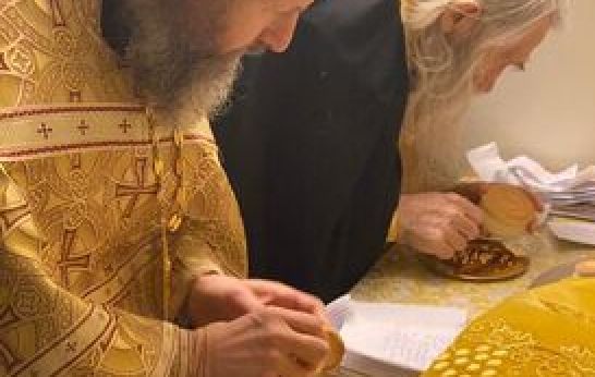 В Вятском Посаде прошла большая экскурсия по достопримечательностям центра