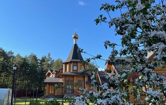 Схиархимандрит Илий (Ноздрин) молится в скиту.