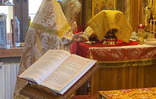 Схиархимандрит Илий (Ноздрин) отслужил Божественную литургия в честь Входа Господня в Иерусалим или  Вербного воскресенья.