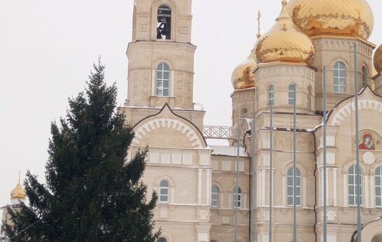 Сегодня на Вятский Посад прибыла красавица ель.