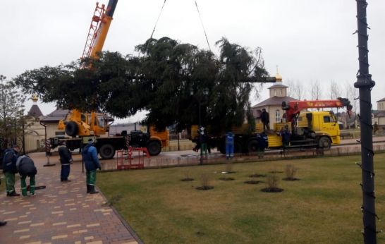 В «Вятском Посаде» устанавливают главный символ Нового года и Рождества 