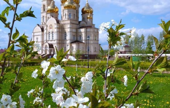 Поздравление с Международным женским днём.