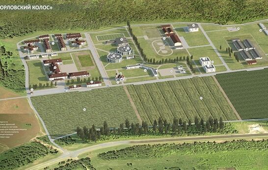 По молитвам батюшки