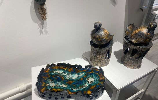 Педагоги Духовно-патриотического центра «Вятский Посад» посетили открытие выставки керамики «Про птиц»