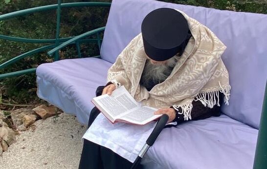 Схиархимандрит Илий (Ноздрин).